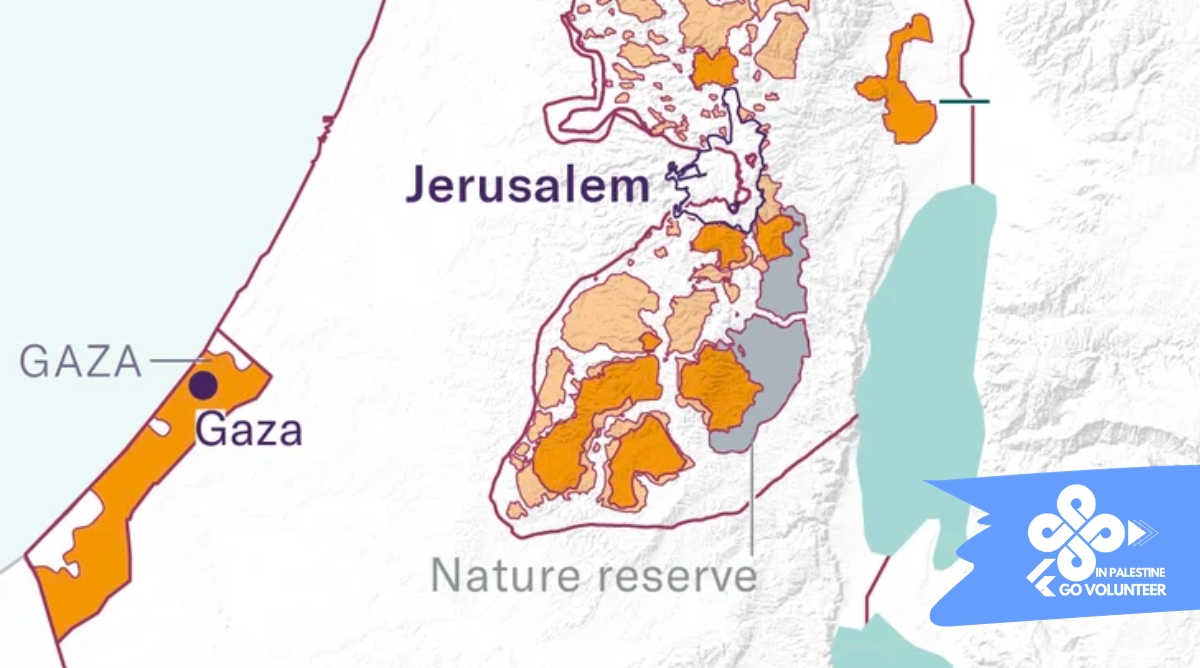 Understanding the Palestine and Israel Map: A Complex Geopolitical Landscape - Go Volunteer in 